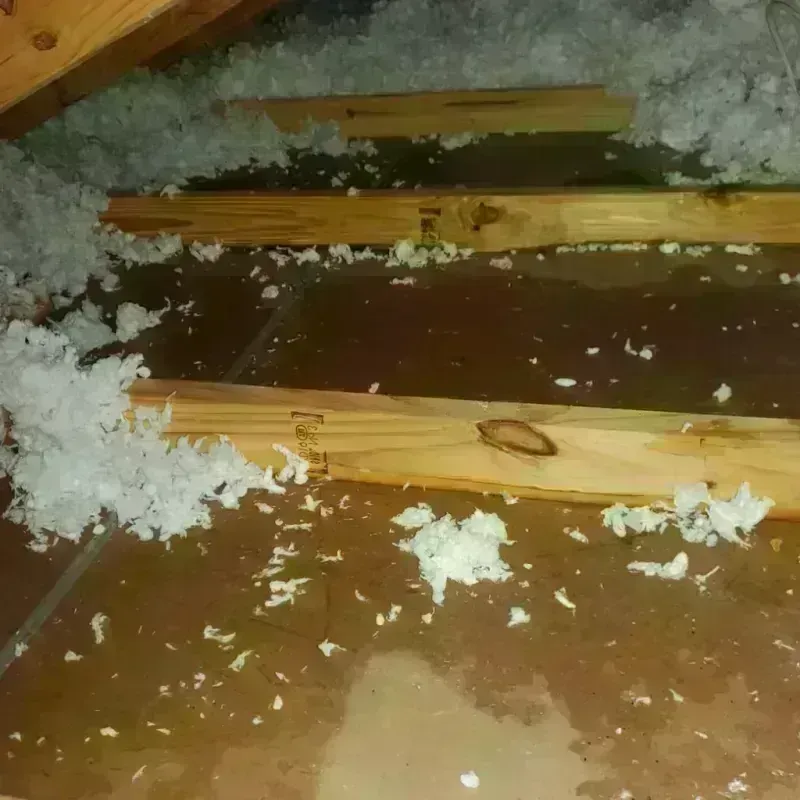 Attic Water Damage in Denver, NC