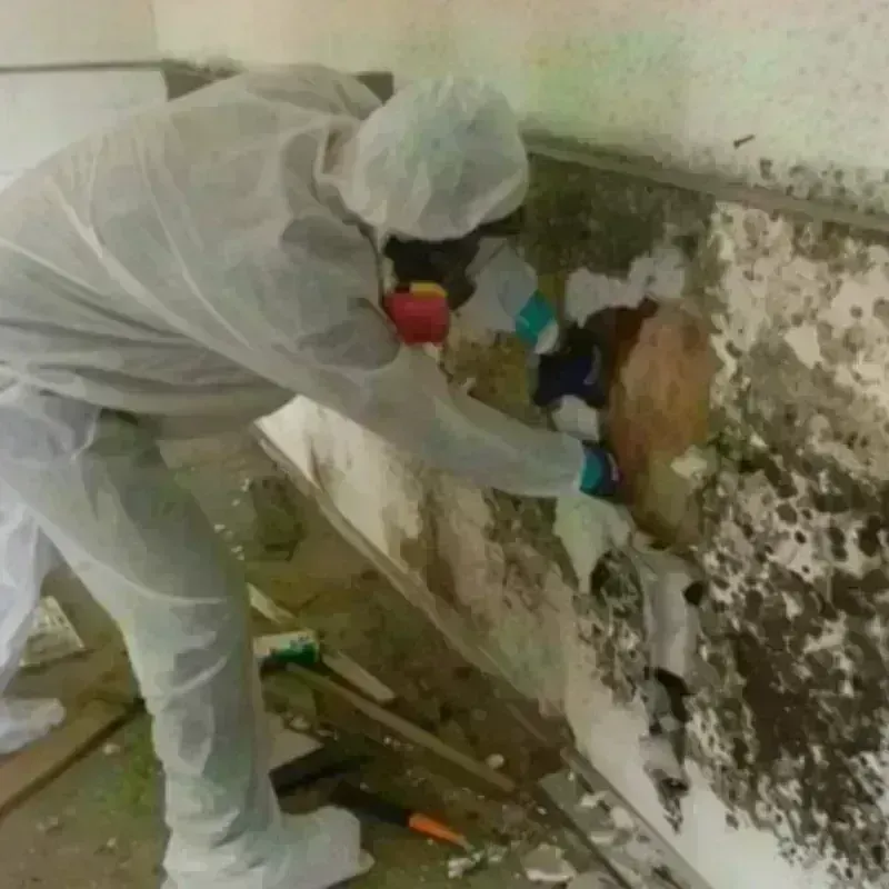 Mold Remediation and Removal in Denver, NC