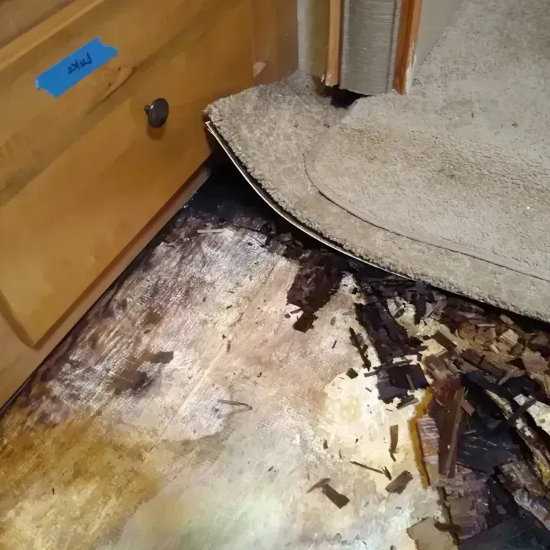 Wood Floor Water Damage in Denver, NC